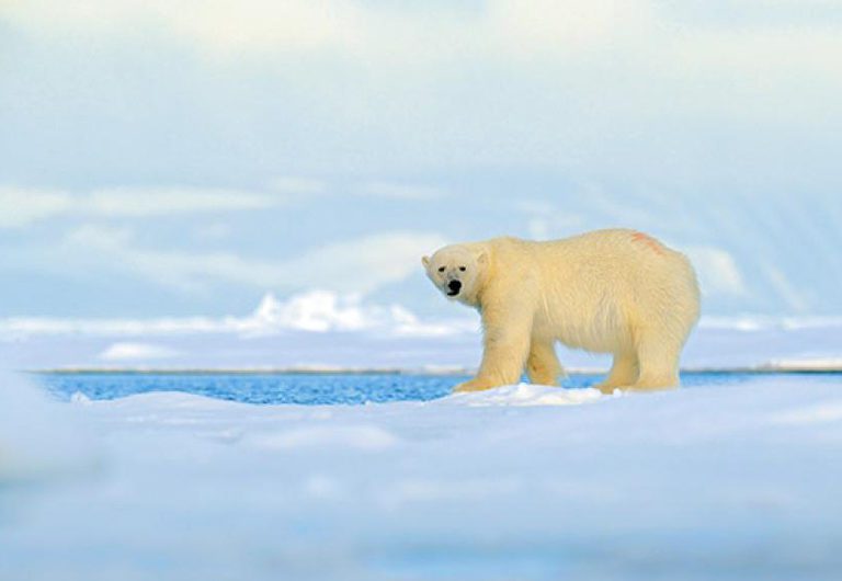 Война за дно: Кому принадлежит Арктика?
