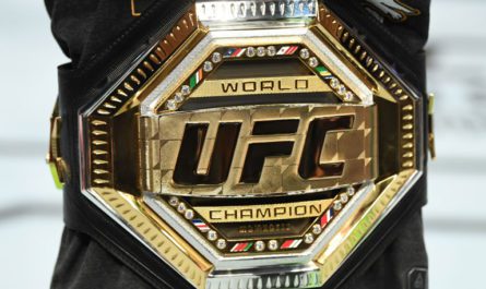 Какая страна воспитала больше всего чемпионов UFC?