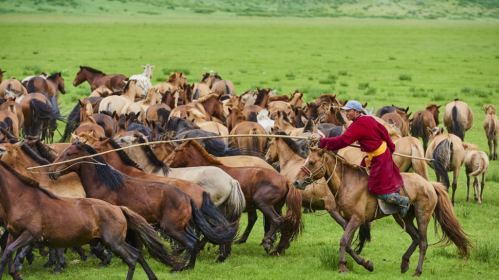 Монголия туризм