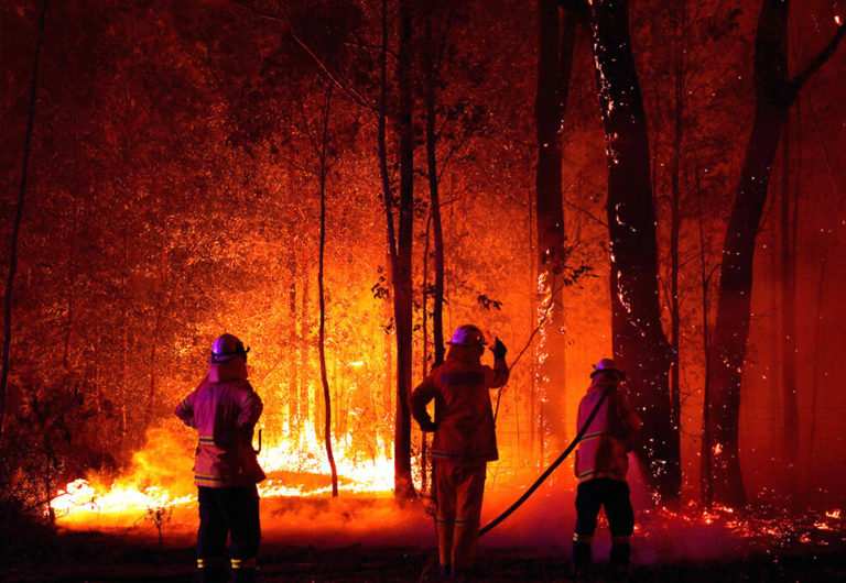 8 фактов, которые все должны знать о пожарах в Австралии