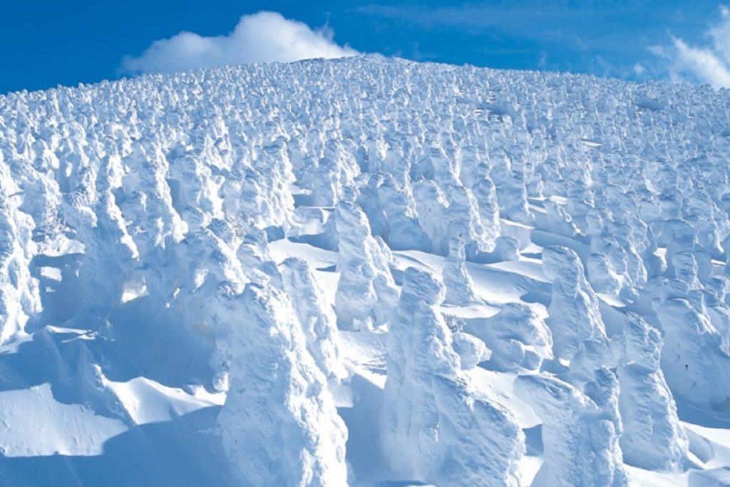 Снежные монстры, гора Зао, Япония