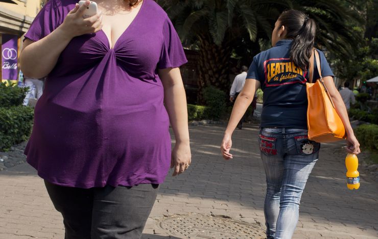Уровень ожирения в Чехии все еще выше, чем во многих других европейских странах