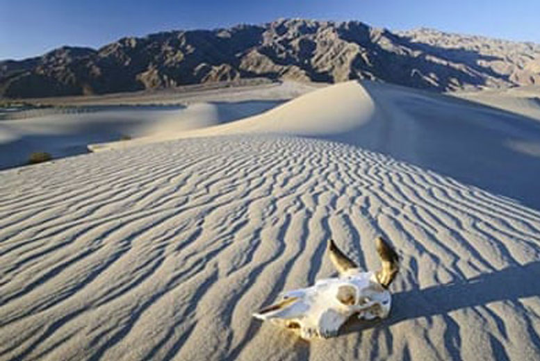 10 самых жарких мест на Земле: от Долины Смерти до Эфиопии