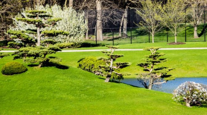 green grass and trees by water b 672x372 1