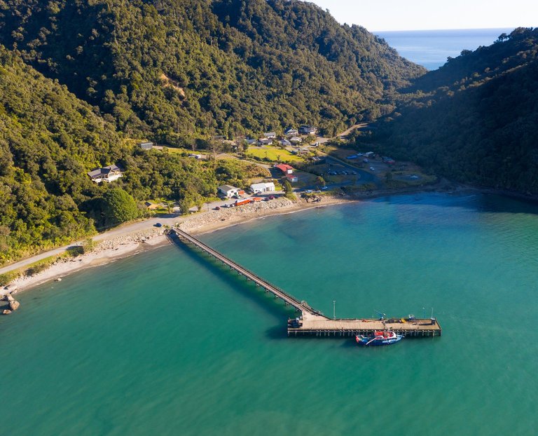 Jackson Bay, West Coast