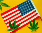 6 фактов об американцах и марихуане