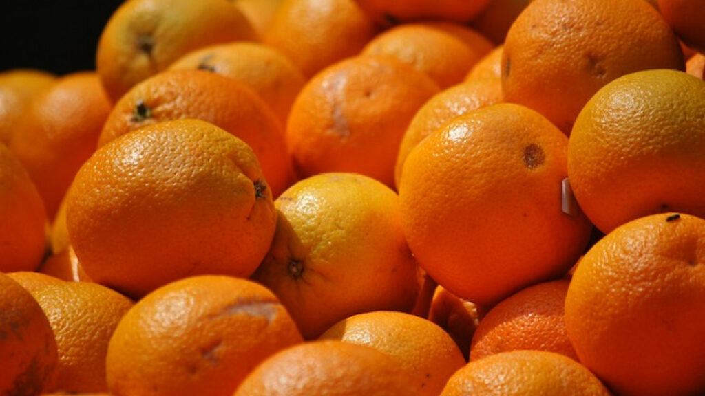 Свыше 60% урожая мандаринов было вывезено в Россию