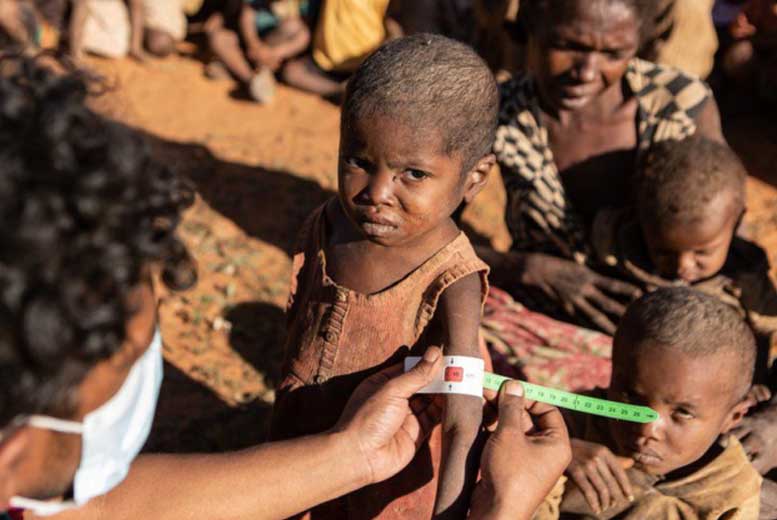 Что стало причиной страшного голода на Мадагаскаре?