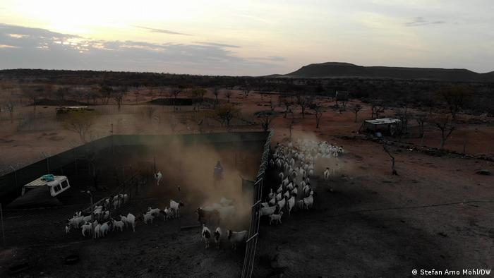В Намибии общины вправе самостоятельно управлять заповедниками