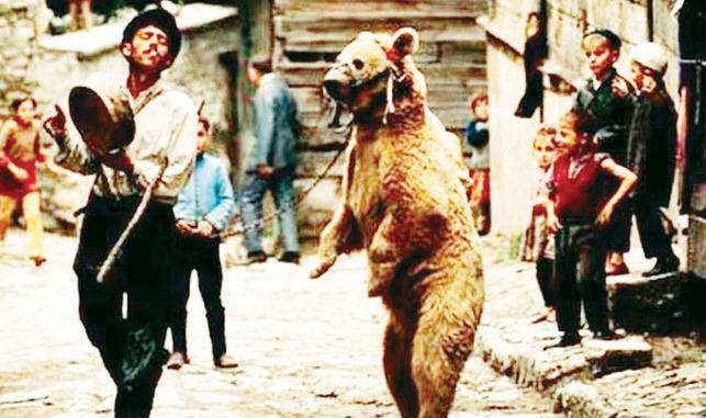 Брутус был последним известным танцующим медведем в Турции
