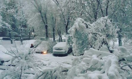 Самые снежные города России с населением более 1 млн