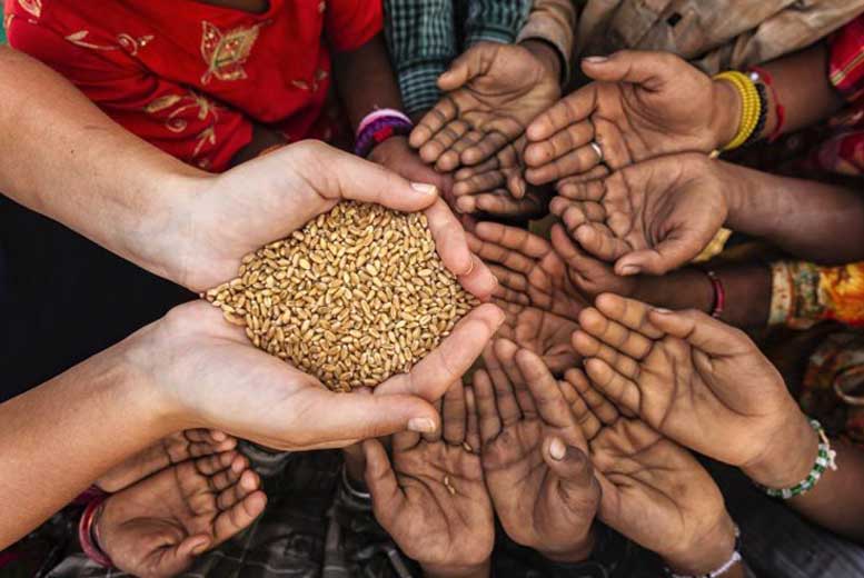 Возможен ли мировой кризис продовольствия из-за спецоперации?