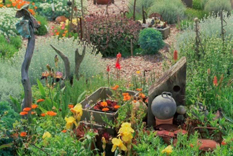 10 лучших книг о садоводстве