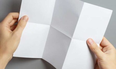 Несколько занимательных фактов о бумаге