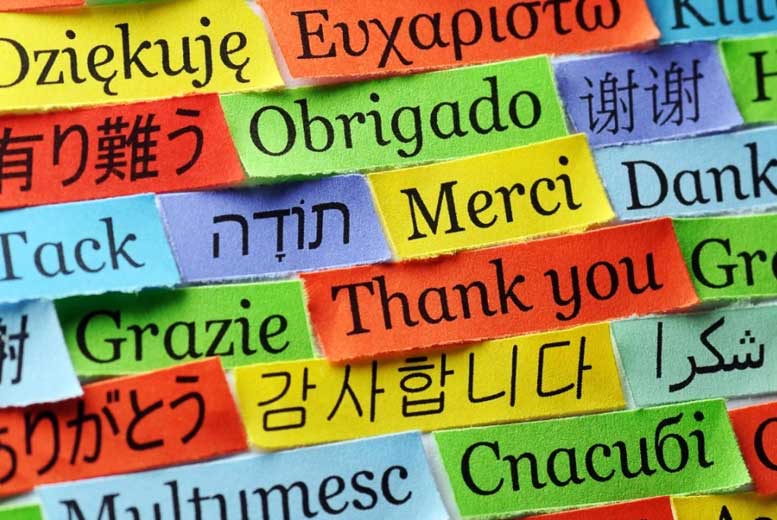 Советы филолога: как нужно учить иностранные языки