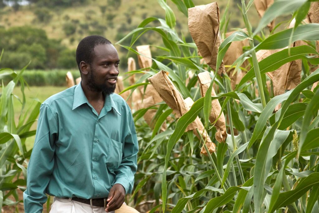 Фермеры Зимбабве вынуждены производить удобрения самостоятельно
