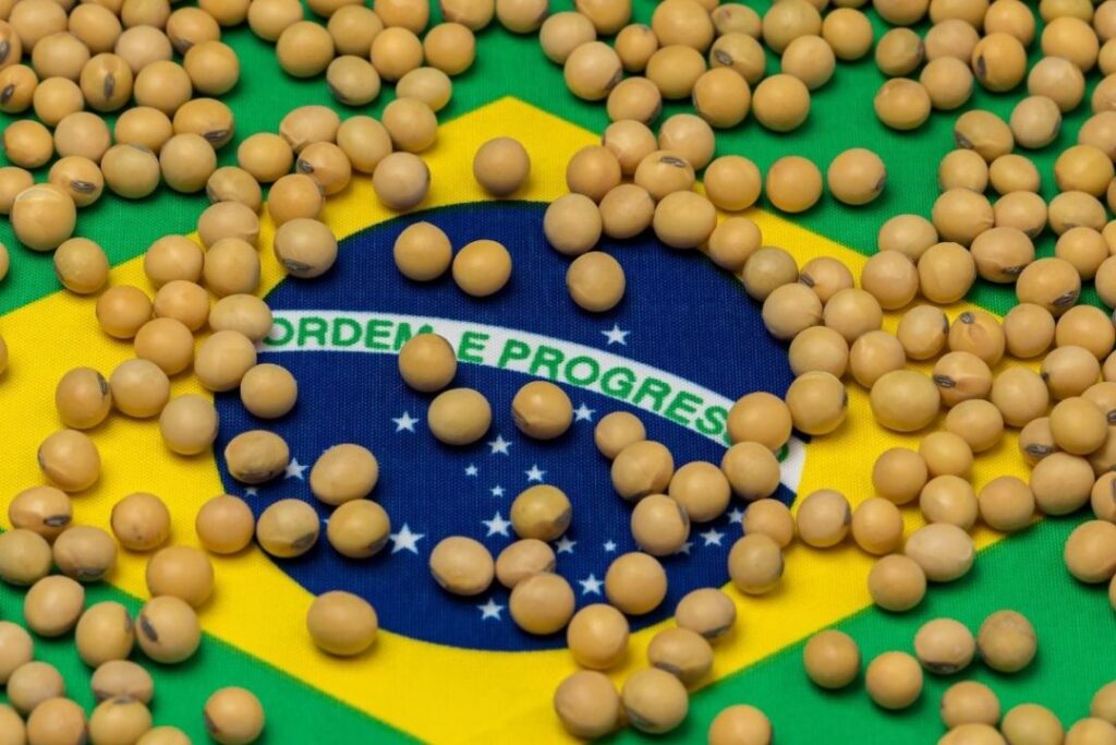 Бразилия столкнулась с угрозой потери экспорта сои