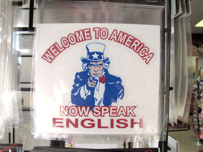 Насколько хорошо иммигранты владеют английским языком?