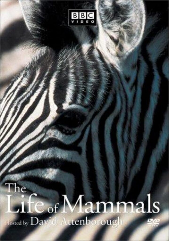 BBC: Жизнь млекопитающих (2002) - Великобритания