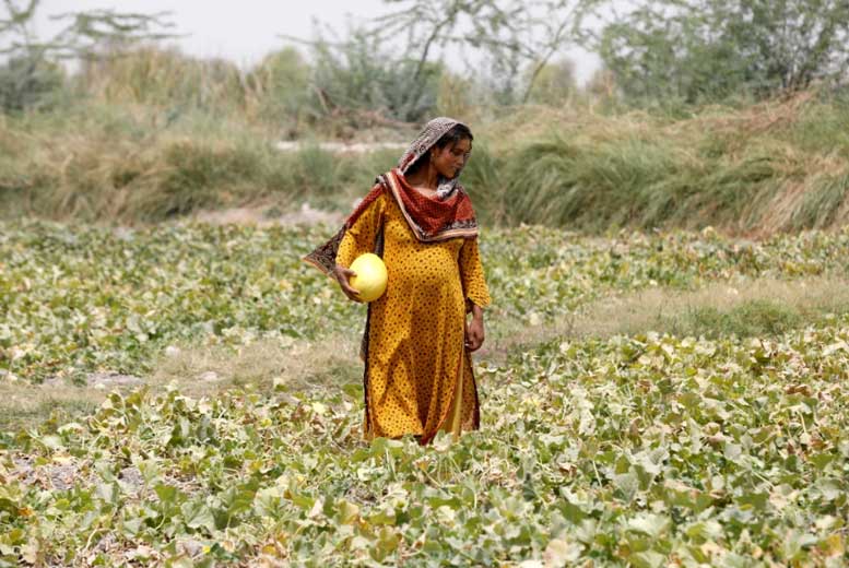 Как беременные женщины в Пакистане справляются с небывалой жарой?