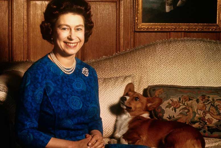 7 фактов о корги королевы Елизаветы II