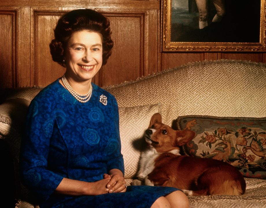 Сандрингем, Норфолк. Королева Елизавета II лучезарно улыбается во время фотосессии в гостиной дома Сандрингем. Ее собака смотрит на нее сверху.