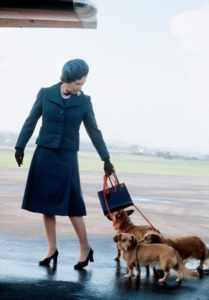 Королева Елизавета II прибывает в аэропорт Абердина со своими корги, чтобы начать отпуск в Балморале, Шотландия, в 1974 году.