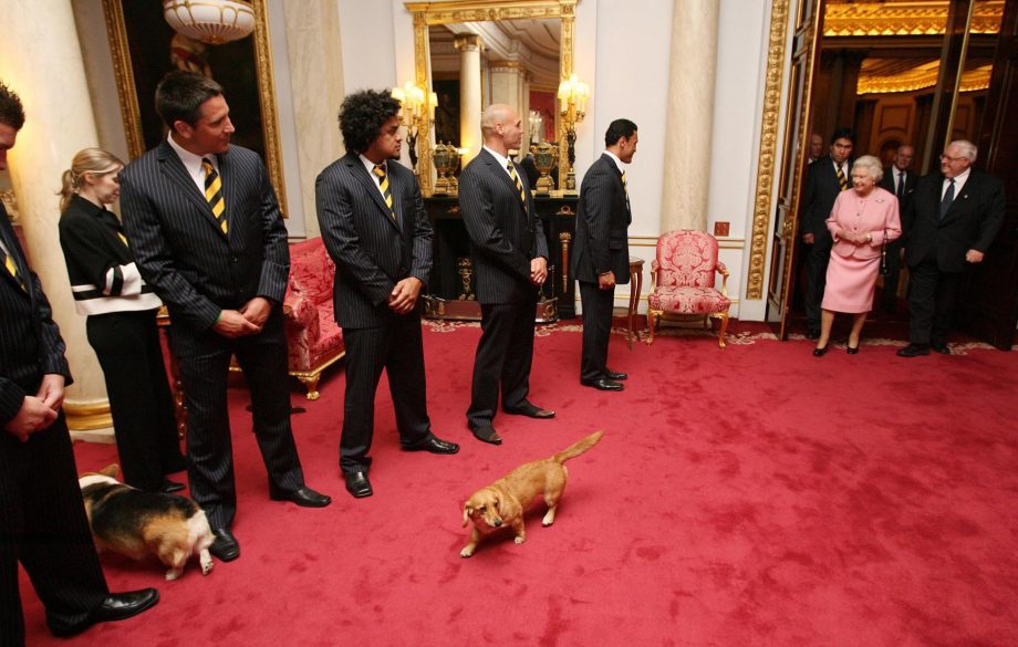 Королева Елизавета II и ее собачки приветствуют игроков и официальных лиц из новозеландской команды по регби-лиге в Букингемском дворце 16 октября 2007 года.