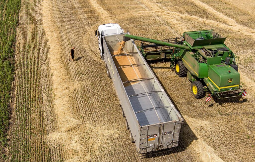 Турция подтвердила готовность Украины возобновить экспорт пшеницы