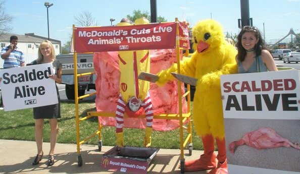 McDonalds согласилась на улучшения в области защиты животных