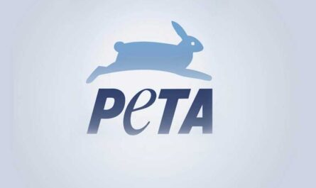 История организации PETA