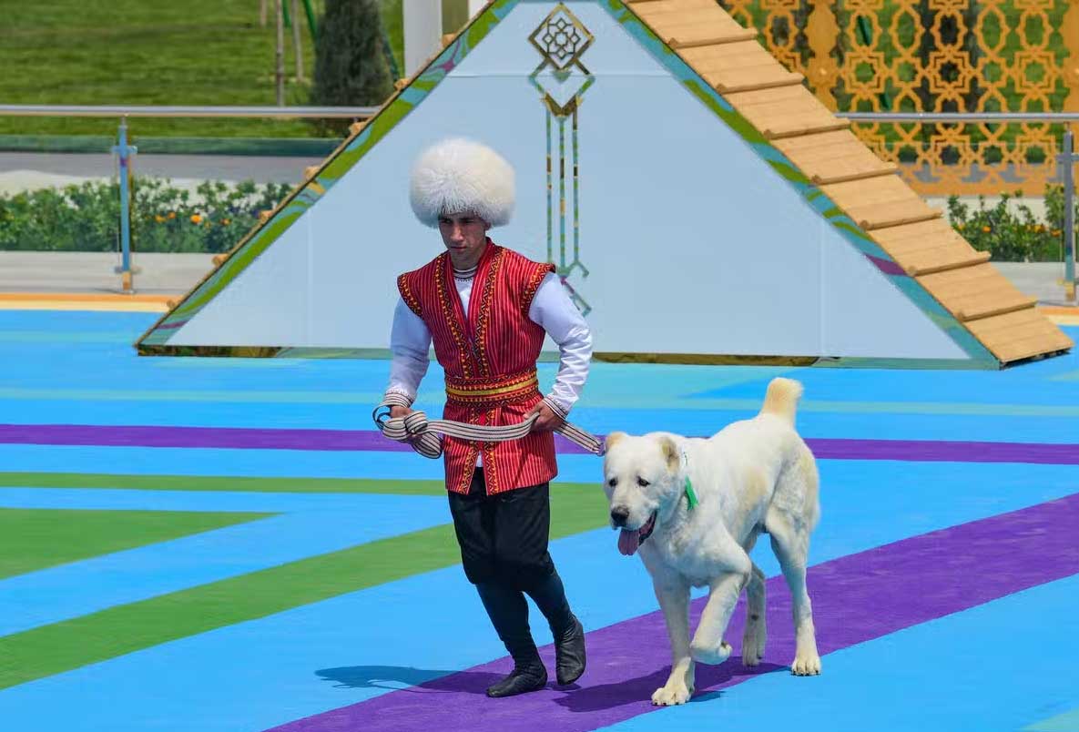 Туркменистан алабай