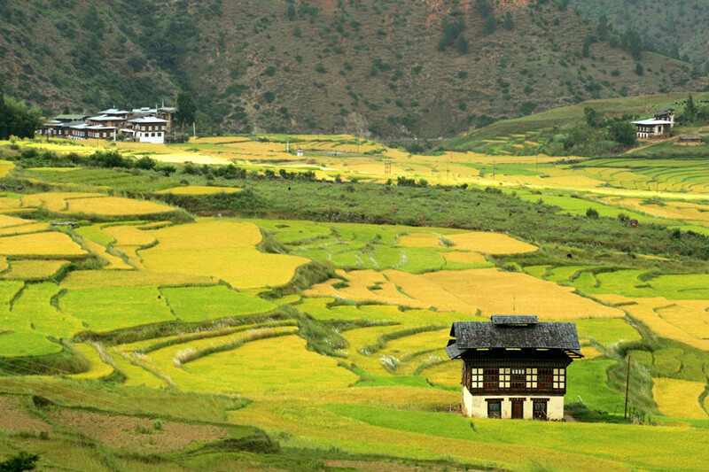 Бутан - 771,612 тыс (2022)