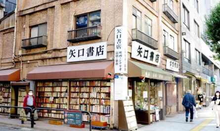 8 литературных городов мира для любителей книг