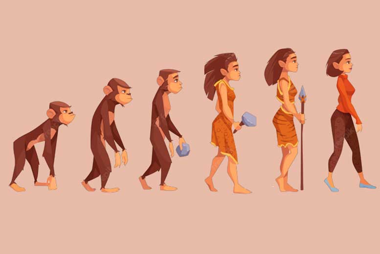 Правда ли, что эволюция делает женщин красивее?