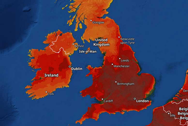 2022 год признан самым жарким годом в Великобритании