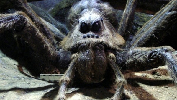 Руперт Гринт так и не увидел ни одной из своих сцен с гигантским пауком
