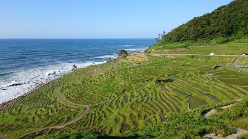 Рисовые террасы Сироёне Сенмайда, Исикава
