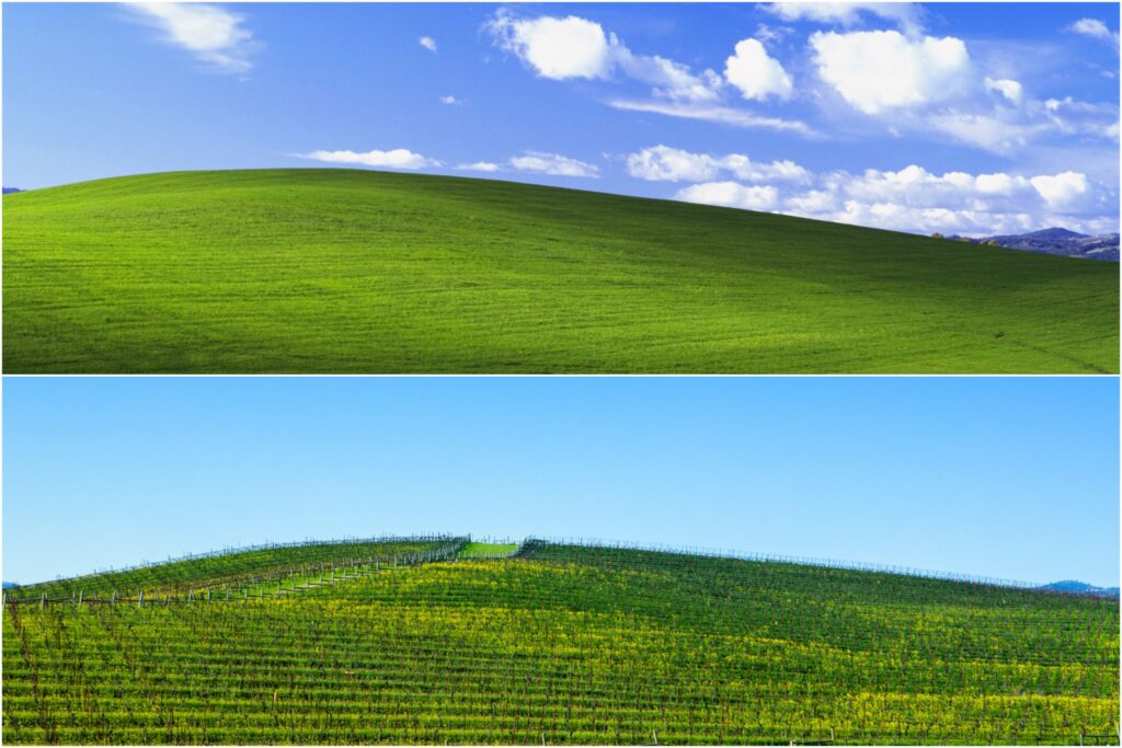 Знаменитые обои Windows XP