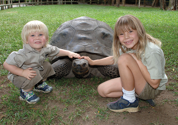 Галапагосская черепаха Гарриета родилась до знаменитого путешествия Чарльза Дарвина в 1835 году