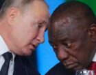 Какие африканские страны поддерживают Россию?