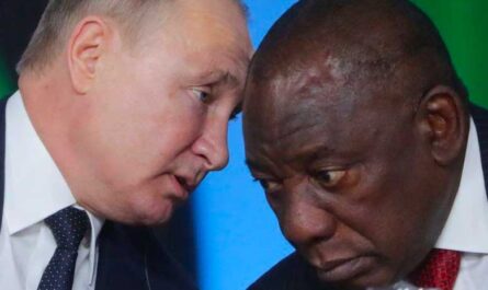 Какие африканские страны поддерживают Россию?
