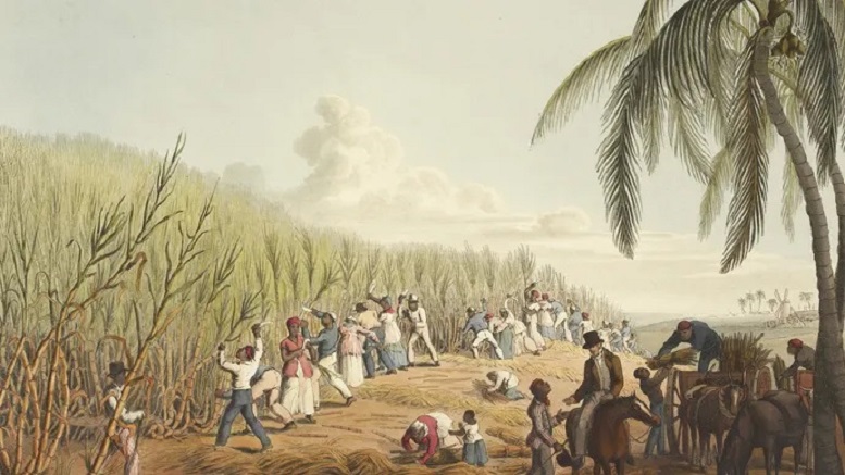 Англичане колонизировали Барбадос в XVII веке