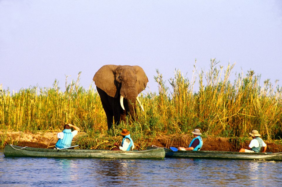 Национальный парк Нижней Замбези