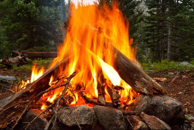 10 советов по предотвращению лесных пожаров