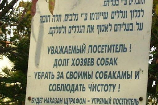 ТОП-10 стран, где говорят на русском языке