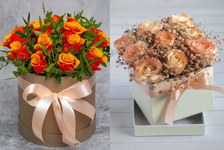 7 значений цвета розы, которые помогут вам при выборе подарка