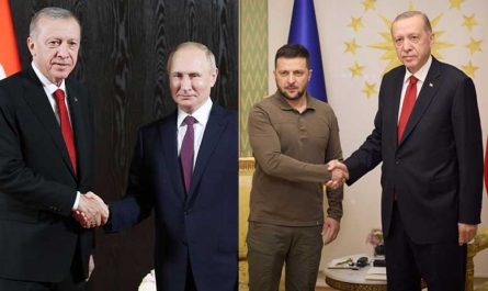 Кого поддерживает Эрдоган в конфликте России и Украины?