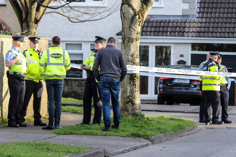 Хаос в Дублине: Мужчина с ножом напал на невинных детей