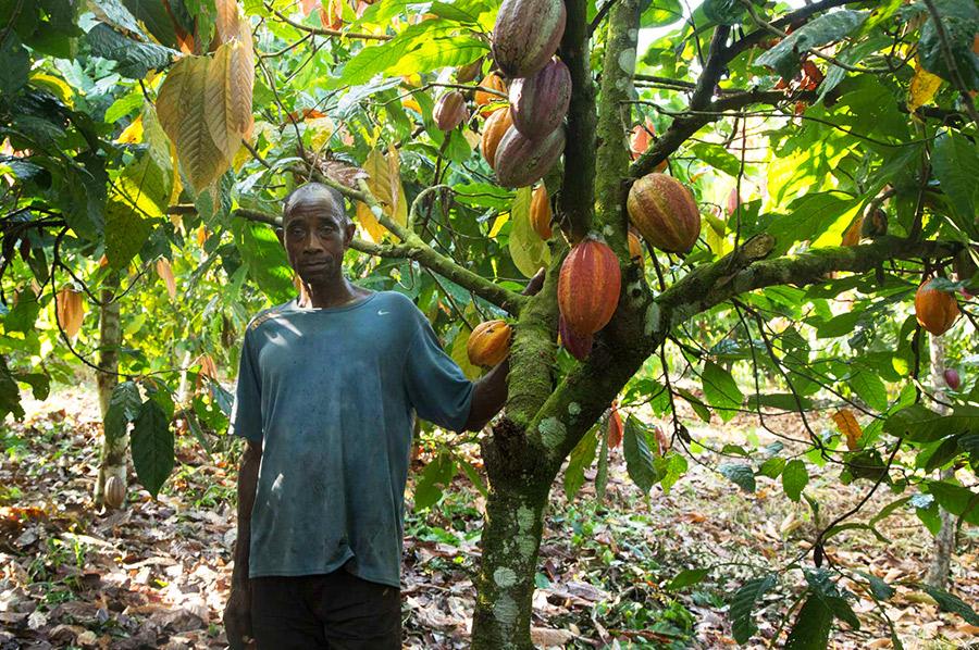 Кот-д'Ивуар - крупнейший в мире производитель какао